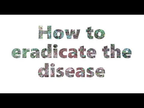 how to pull up the root of the disease