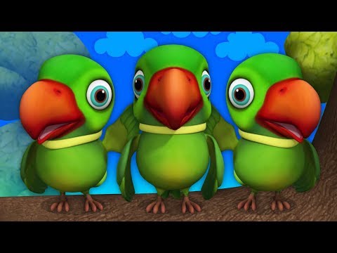 Main Tota Hare Rang Ka | Hindi Rhymes | मैं तोता मैं तोता | Hindi Rhymes For Kids | Baby Songs Hindi