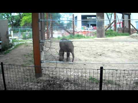 Day at the Zoo! 116.AVI