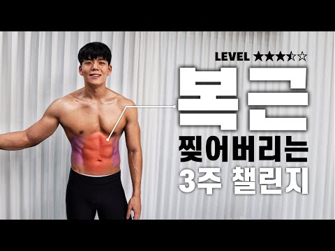 Lv.3.5 복근을 가지고 싶다면 이 영상을 반복하세요.