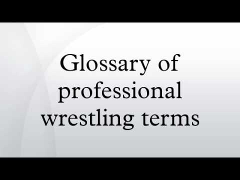 Glossary of professional wrestling terms