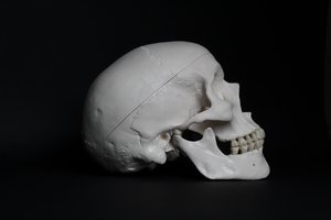 White skull