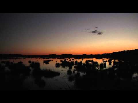 Long Shits by Evan Wilder 27 • Bogs Of Franklin Parker Preserve At Nightfall