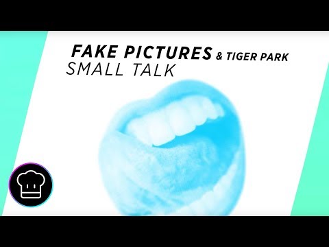 Fake Pictures & Tiger Park - Small Talk (Mood Video)