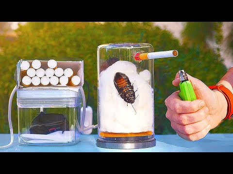 WHAT HAPPENS IF A COCKROACH SMOKES 20 CIGARETTES