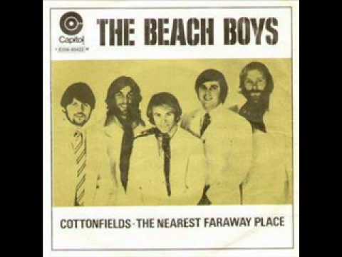 Cotton Fields (The Cotton Song) - The Beach Boys