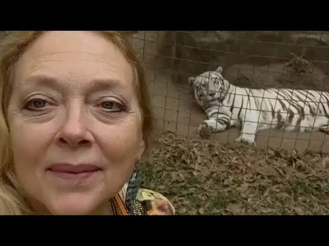 😂 TIGER KING : SOMEBODY YELLING HELP POLICE AT CAROLE BASKIN