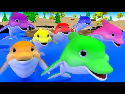 Colors for Children to Learn with Cartoon Dolphins Color Water 3D Kids Toddler Babies Learn Colors