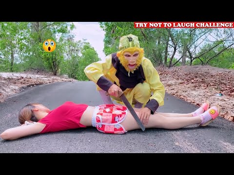 Try Not To Laugh 🤣 New Funny Videos 2020 - Episode 73 | Sun Wukong