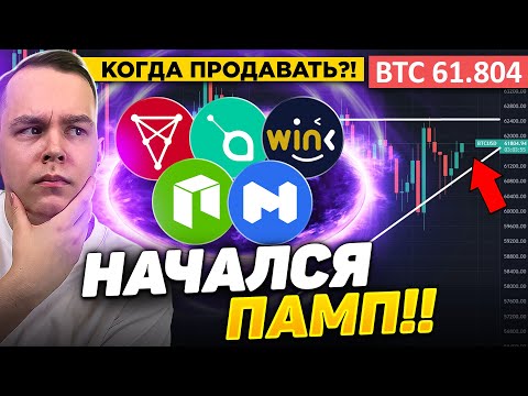 АЛЬТКОИНЫ ПОДРОБНЫЙ РАЗБОР! КАКИЕ ЦЕЛИ?!! CHZ, SC, MATIC, NEO, WINK И ДР! Криптовалюта Биткоин