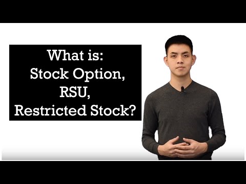 What is Stock Option, RSU, and Restricted Stock?