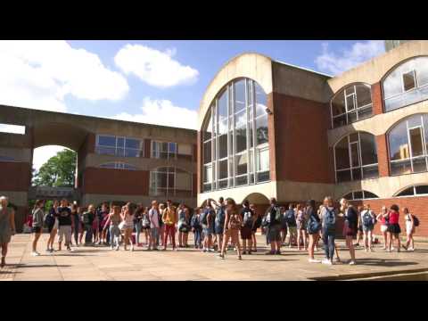 University of Sussex - an international overview