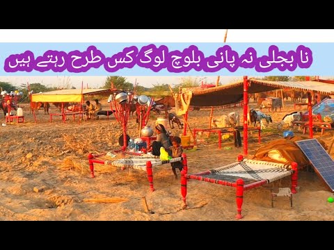 Baloch people village life pakistan |surjanpur village vlog66|