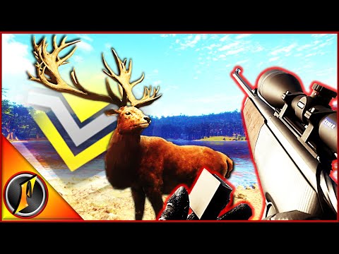 Hunting a Monster Diamond Red Deer with the .243!