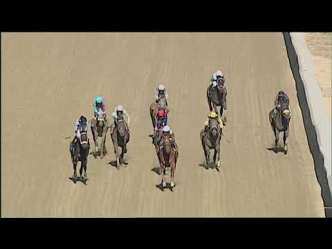 Laurel Park 3 13 2021 Race 6 Harrison E  Johnson Memorial Stakes