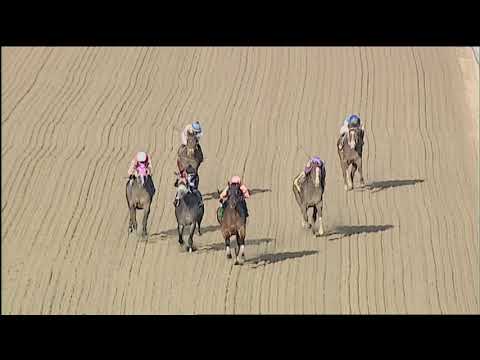 Laurel Park 3 13 2021 Race 9