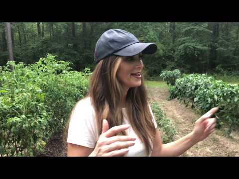 Stacy Lyn Harris Garden Tour—Ready for Summer Harvest!