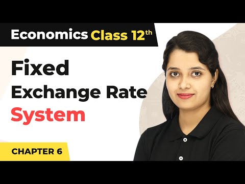 Fixed Exchange Rate System - Open Economy Macroeconomics | Class 12 Macroeconomics