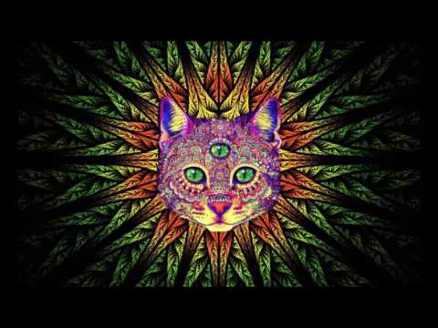 Best Rave/Party Songs Mix #1: PSY TRANCE, MINIMAL, GOA TRANCE, HEAVY BASS (song list in description)