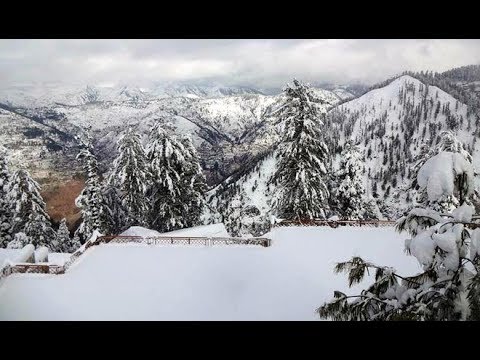 Murree's Beautiful View Of Snowfall  | Full of Natural Beauty