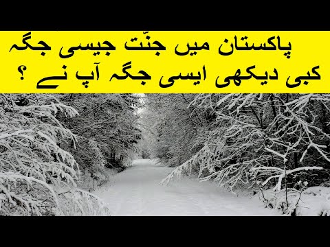 Car slipping in Muree || Nathia Gali heavy snow fall || Pakistan Northern Areas Beautiful places