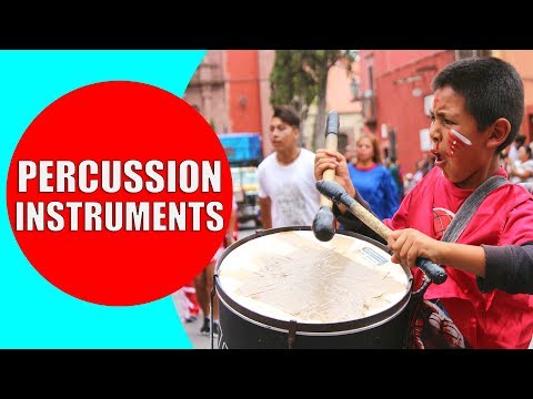 Percussion Instruments for Kids - Demonstration and Sounds of Best Percussion Instruments