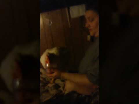 Samantha Raines my pet chicken Fife.