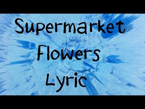 Supermarket Flowers - Ed Sheeran [Lyric]