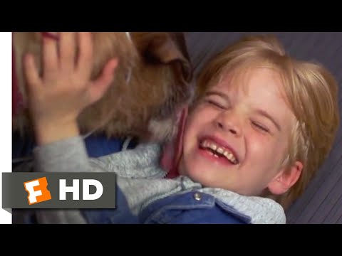 Look Who's Talking Now (1993) - Adopting a Dog Scene (2/10) | Movieclips