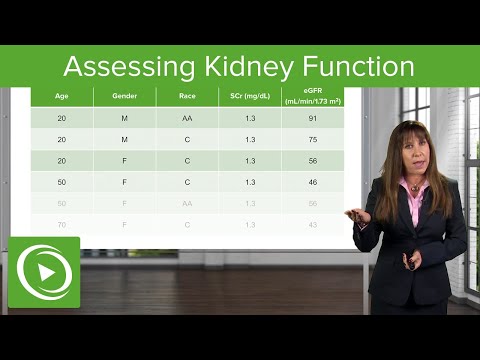 Assessing Kidney Function: Glomerular Filtration Rate (GFR): Nephrology| Lecturio