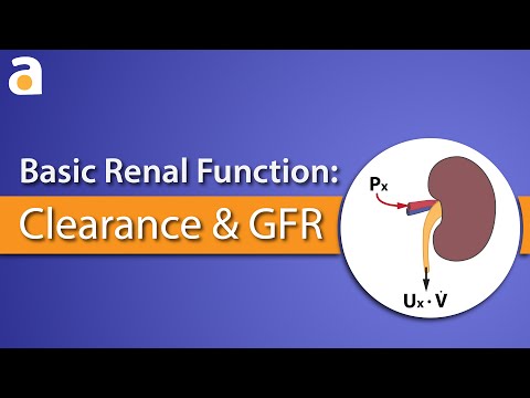 Basic Renal Function: Clearance and GFR