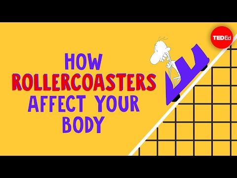 How rollercoasters affect your body - Brian D. Avery