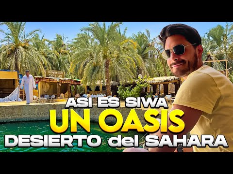 ASÍ VIVEN en un OASIS en MEDIO del DESIERTO del SAHARA | NUNCA IMAGINE UN LUGAR ASÍ Gabriel Herrera