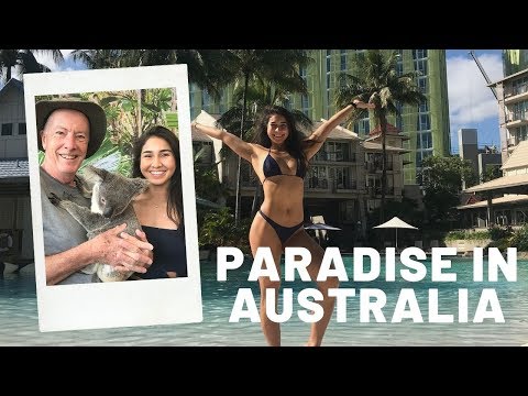 WHAT TO DO IN CAIRNS | Australia | Koalas, Waterfall Hikes & Food