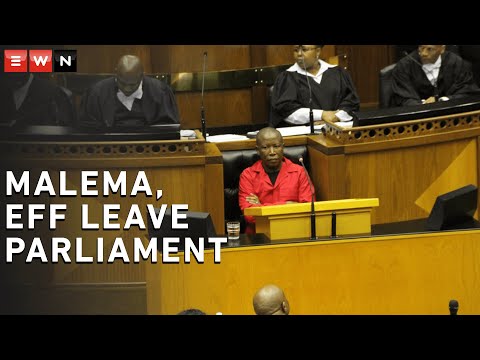 Malema leaves Parliament after heated debate