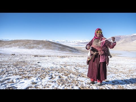 A Winter's Day in Changthang | Living with the Changpas of Ladakh - 2/6