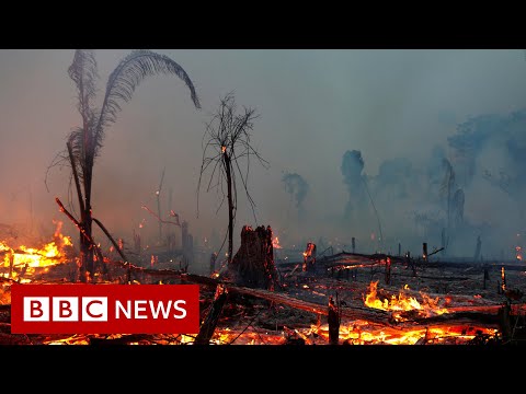 Climate change IPCC report is 'code red for humanity', UN scientists say - BBC News