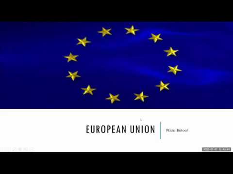 Treaty of European Union Explained | EU Structure and Organs | International Organizations