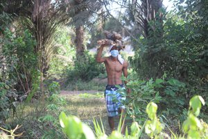 Young carrying bundle of firewood during Coronavirus COVID-19 pandemic in Guinea, Africa