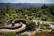 Blue Mountains Botanic Gardens, Mount Tomah. 3rd December 2021, Photo: Wolter Peeters,