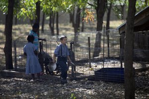 Children feed pigs at the Christian Aid Ministries headquarters in Titanyen, north of Port-au-Prince, Haiti, Monday, Nov. 22, 2021.