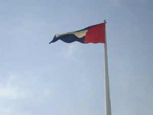 UAE Flag