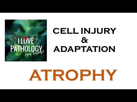 CELL INJURY & ADAPTATIONS PATHOLOGY: ATROPHY