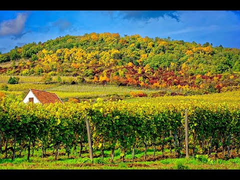 36 Hungary - The Wine Regions of Hungary