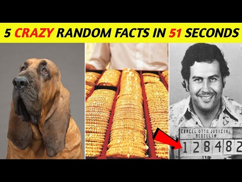 5 Crazy Random Facts In 51 Seconds | Act on Fact | #Shorts