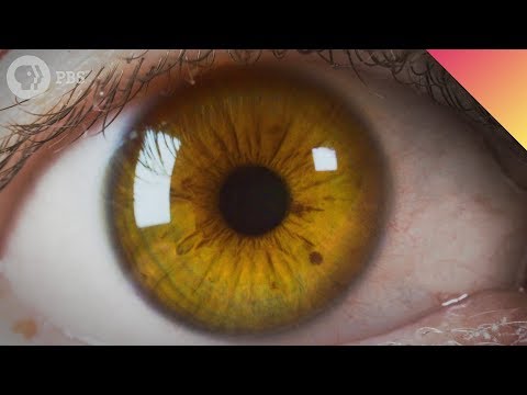 Is Your Eye Color Real?