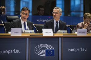 NATO Secretary General Jens Stoltenberg addresses the European Parliament Committee on Foreign Affairs (AFET) and Sub-Committee on Security and Defence (SEDE) in Brussels, 21 Jan. 2020.