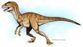 Imgs_photos_deinonychus