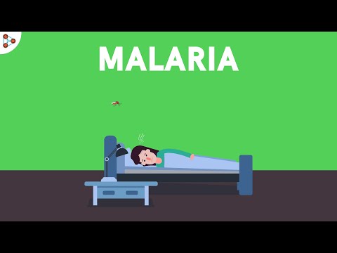 Malaria and Life Cycle of Plasmodium | Diseases | Don't Memorise