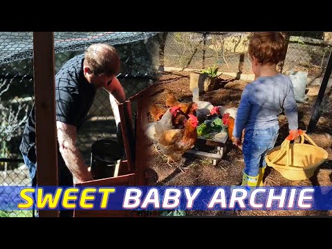 🛹 BABY ARCHIE - Sweet & Happy 🐓